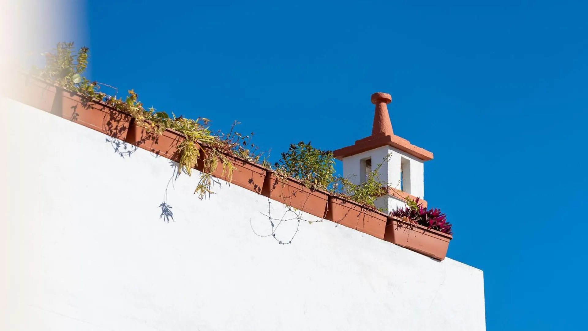 Apartament The Alvor Rooftop Portugalia